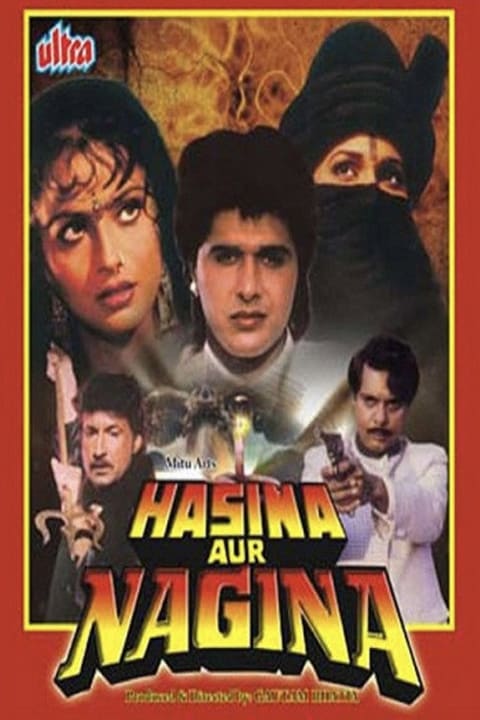 Poster Hasina Aur Nagina